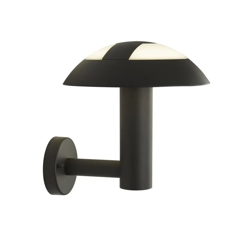 LED Wandlampe außen IP44 Anthrazit 4000 K 505 lm Modern Preis Gesenkt