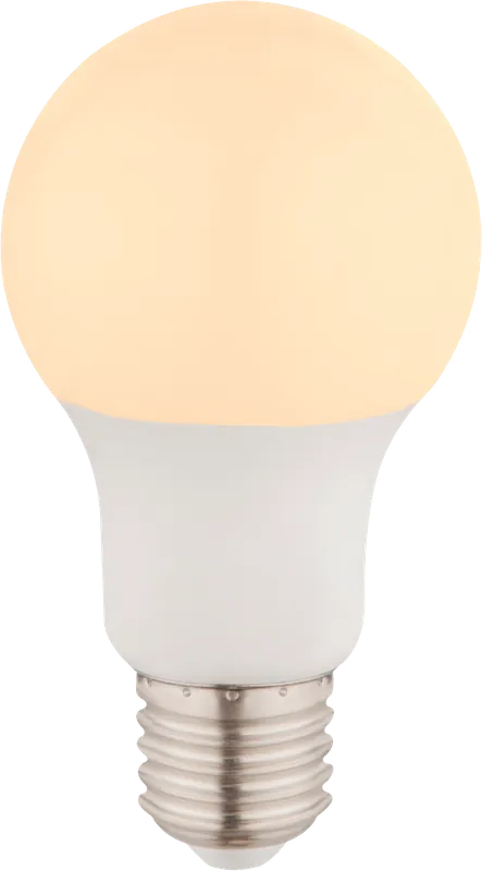 Expressversand LED - LEUCHTMITTEL LED Leuchtmittel