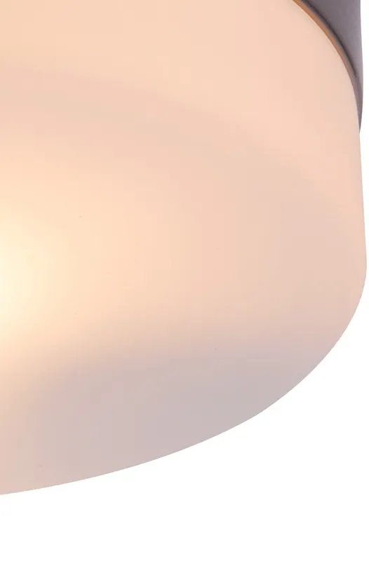Schnäppchen Glas Opal 18,5cm für 48401+48345