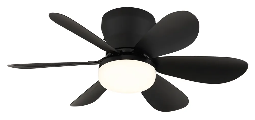 DELORES Deckenventilator Must-Have
