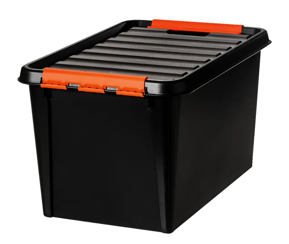 Box "Robust" 45L, 59x39x34cm Abverkauf