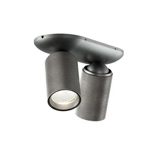 Online Kaufen Raw 2 Deckenleuchte 3000K Titanium - LIGHT-POINT