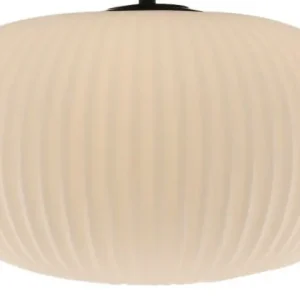 Nur Für Kurze Zeit ROKAP8719933976437