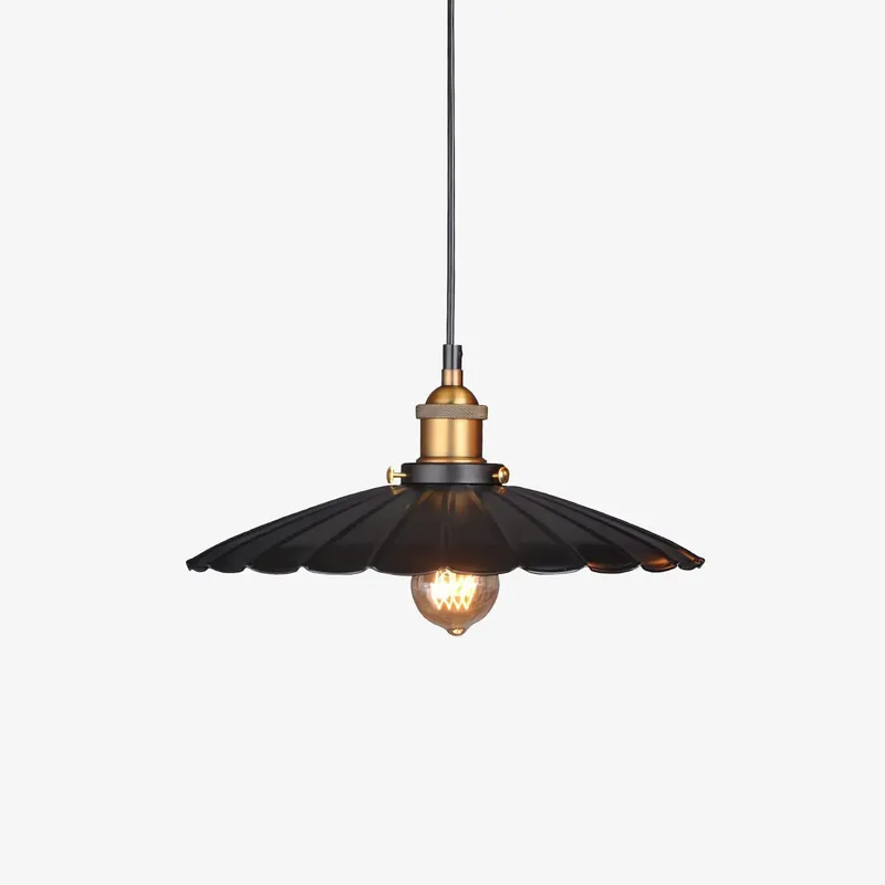 Angebot Velora Zeitgenössische Pendelleuchte aus Eisen Dia 25cm x H 14cm