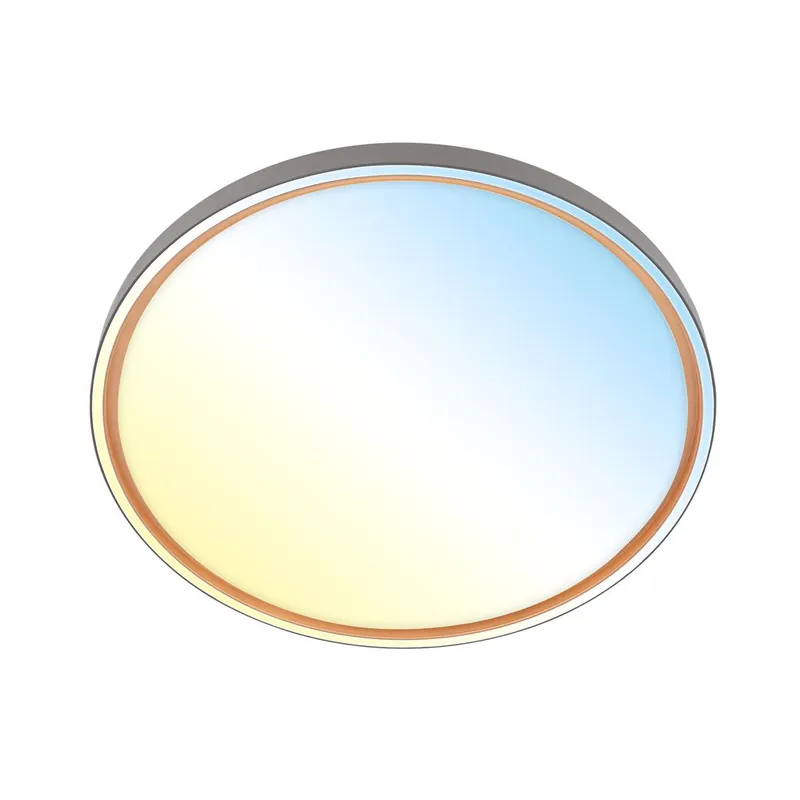 Beliebt Ina Deckenlampe Ø49 cm - 48W, 5200lm, Dimmbar, LED, Fernbedienung, CCT, Anthrazit