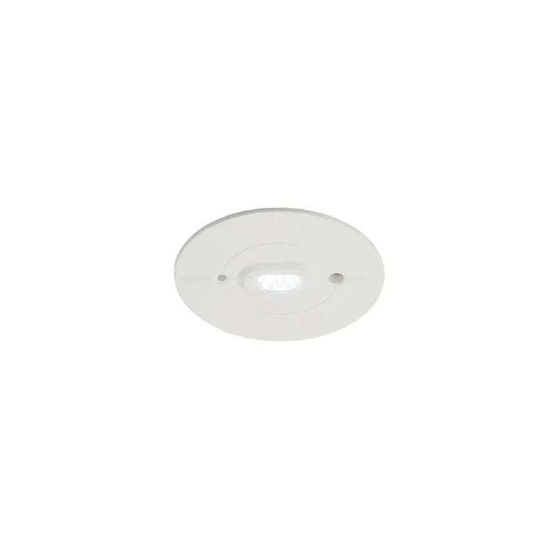 Ansell LED Emergency Light Raven Escape Route White 3W 111lm 142x49D - 865 Daylight | 110mm - IP65 - Emergency 3H - Self Test Expressversand