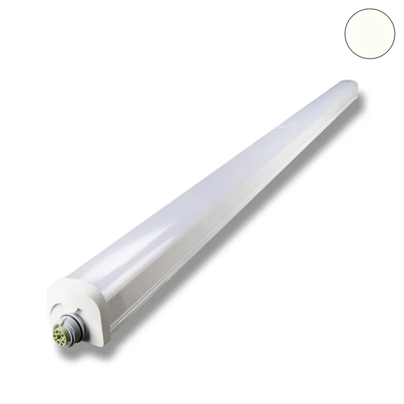 ISOLED 115153 LED Linearleuchte Professional 4000k DALI dimmbar Saisonangebot