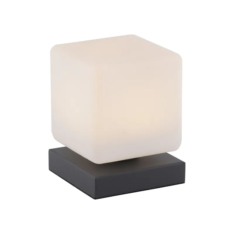 Online Kaufen Paul Neuhaus 4036-13 Dadoa Tischleuchte anthrazit Touchdimmer