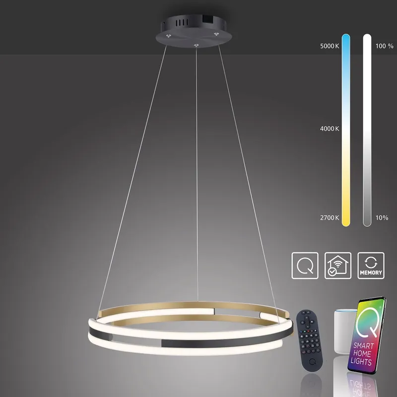 Direkt Vom Hersteller Paul Neuhaus 2051-60 Q-BELUGA LED Pendelleuchte messing matt schwarz Smart Home